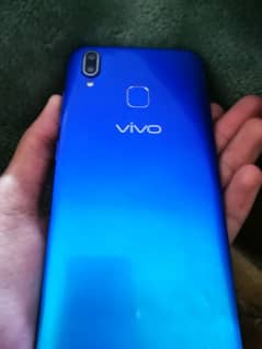 VIVO