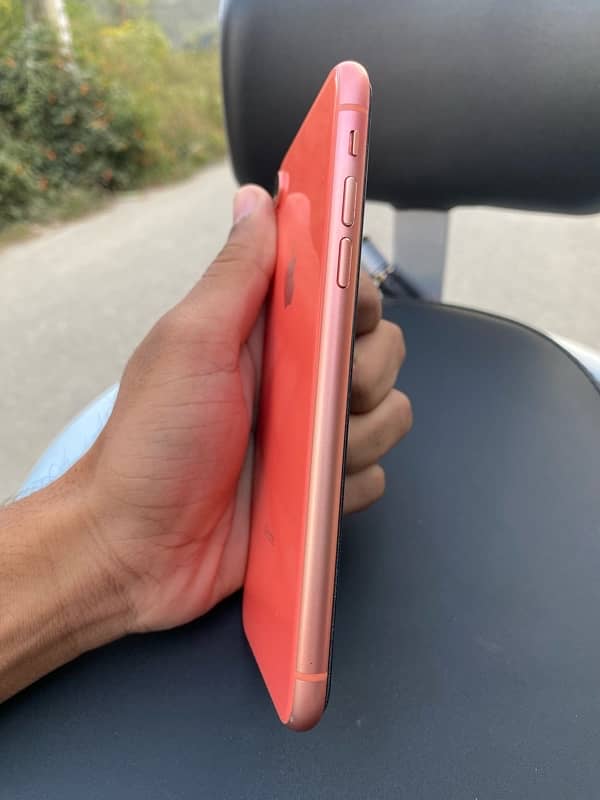 iphone XR 2