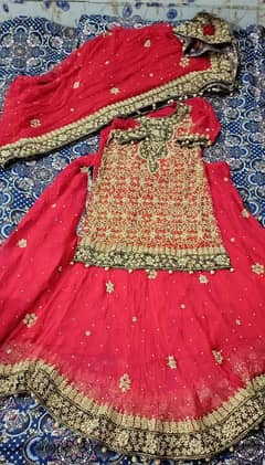 One Time Used Brida Fulll Dress (Lehnga)