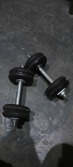 Dumbbells 1 Set for Sale