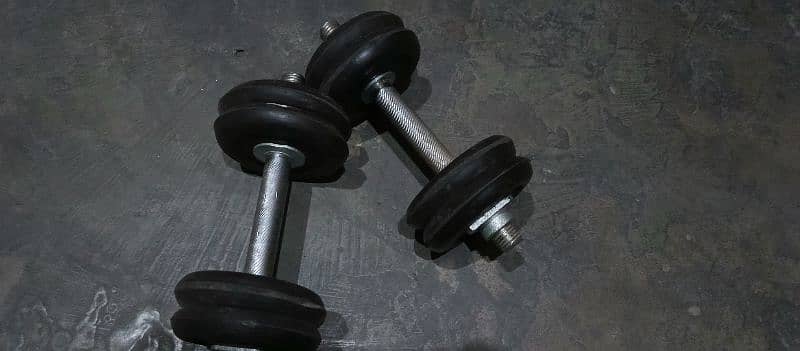 Dumbbells 1 Set for Sale 1