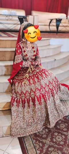 Bridal lehnga /Bridal Dress / beautifull Barat Lehnga /