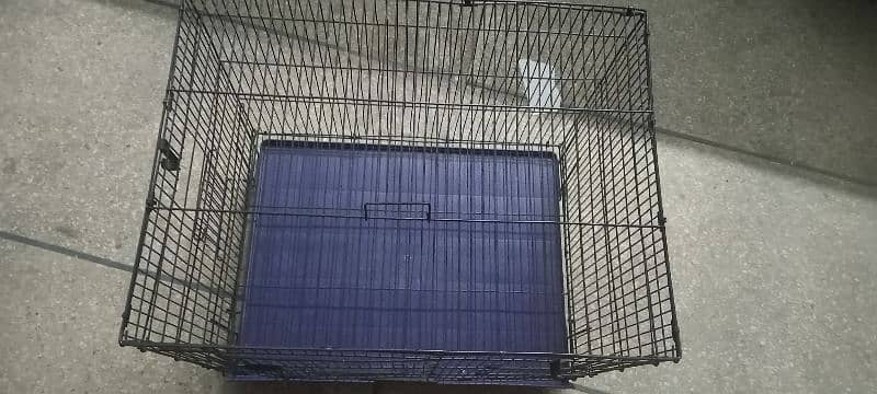 cat and puppy cage 0