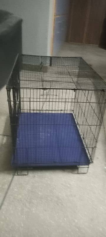 cat and puppy cage 1