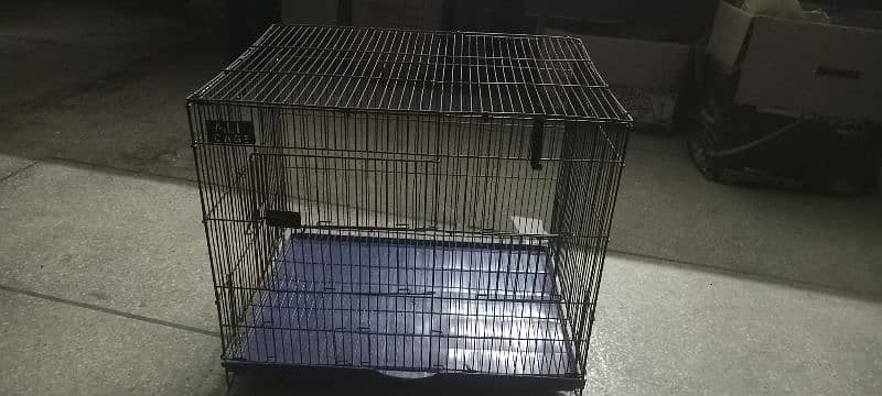 cat and puppy cage 2