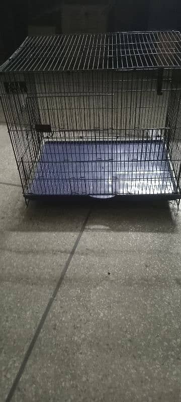 cat and puppy cage 3