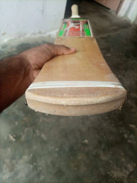 cricket bat coconut brand 0