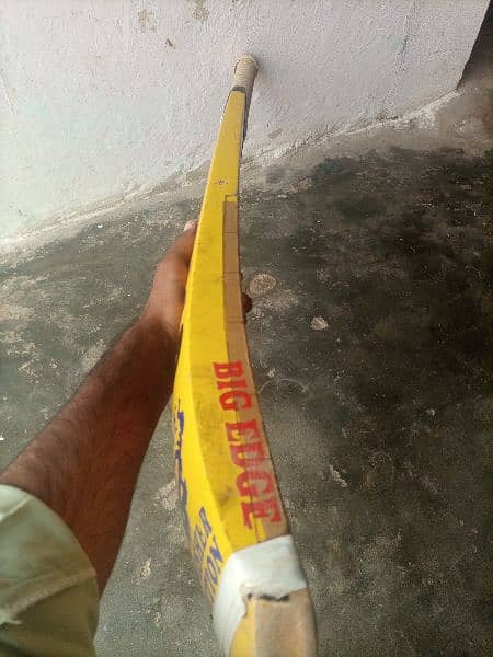 cricket bat coconut brand 2