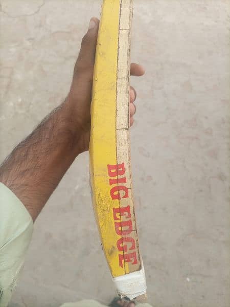 cricket bat coconut brand 3