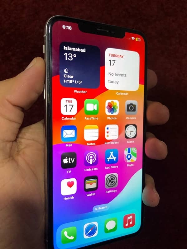 Xs Max NonePTA 256Gb 1