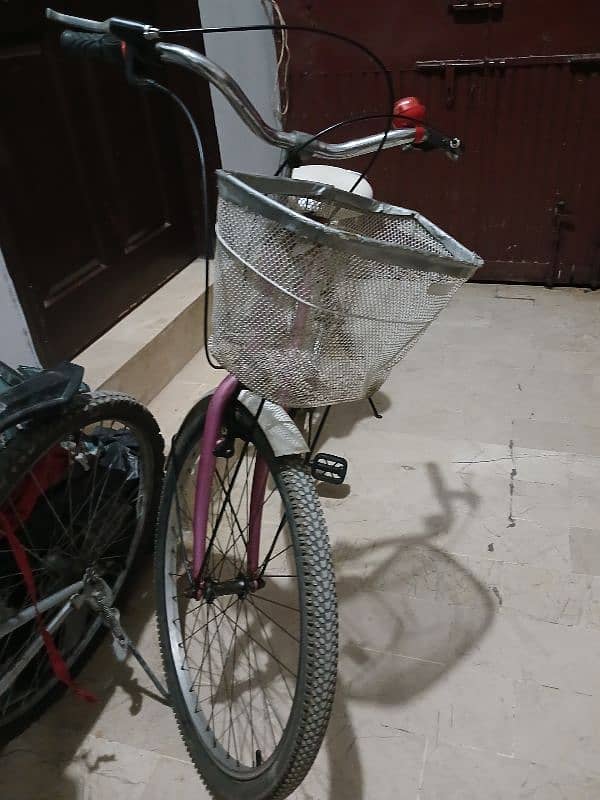 Japanese Bicycle for Girl 3