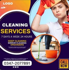 Home Maid Services/House Maid/Professional Maids for Home Cleaning