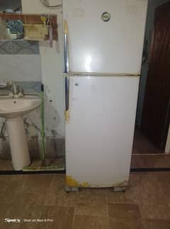 freezers  freezer  fridge   electronics   kitchen