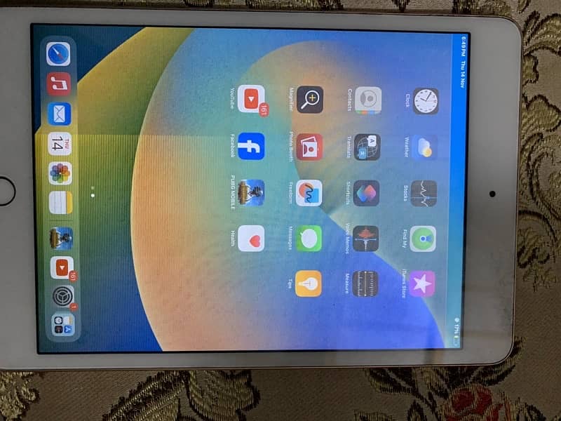 ipad mini 5 all ok only screen me lins h ios ki waja se 1