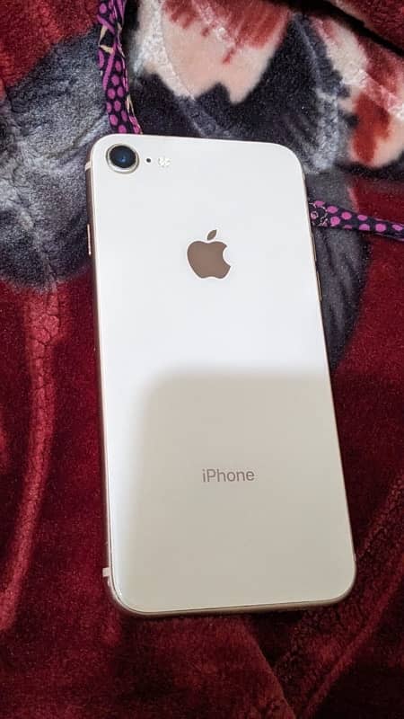 iphone 8 pta aproved 64 gb 1