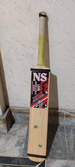 Big Sixer-Cricket Bat