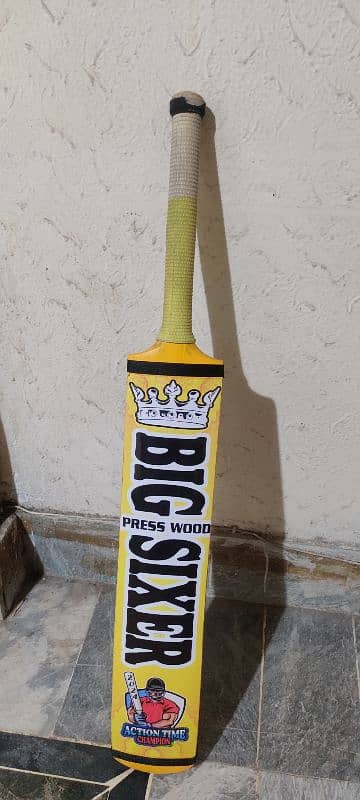 Big Sixer-Cricket Bat 1