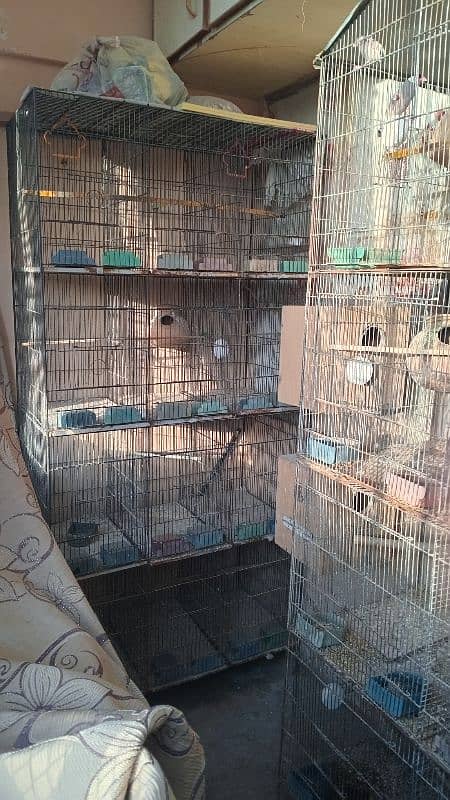 12 portion cage for sell 1