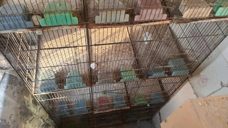 12 portion cage for sell 3