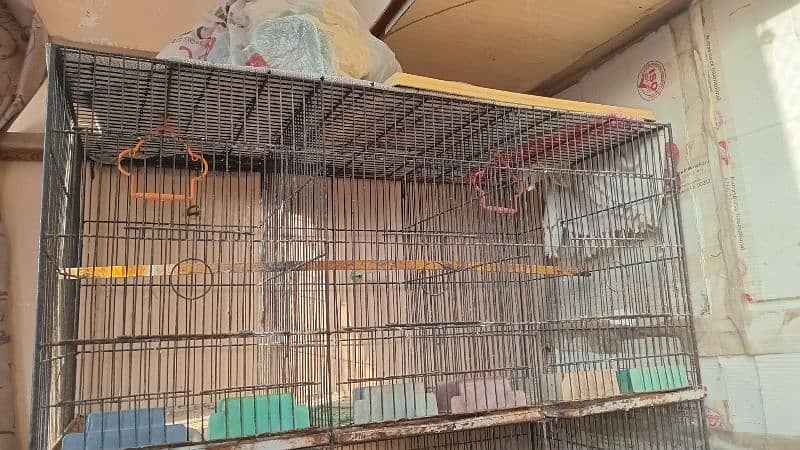 12 portion cage for sell 4