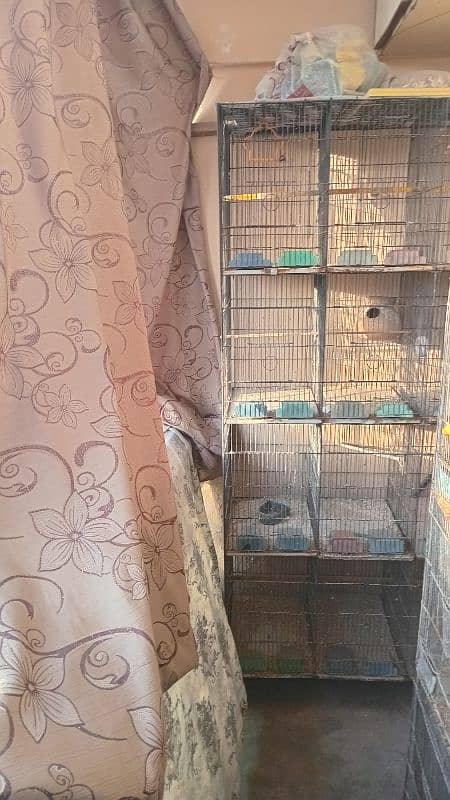 12 portion cage for sell 5