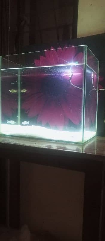 aquariums for sale 4