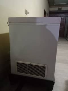 two door freezer good condition