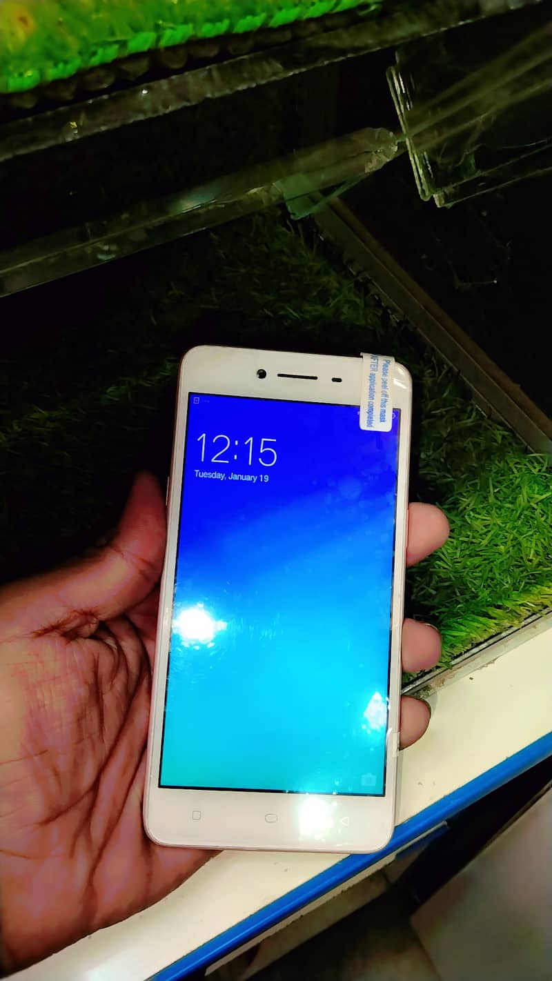 oppo A37 1