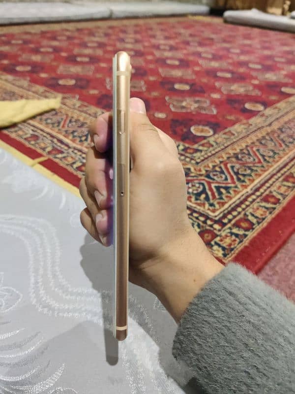 iphone 8 plus 1