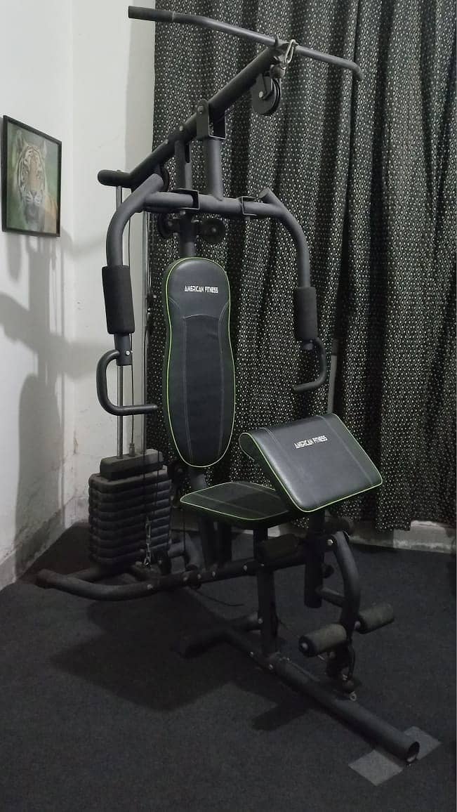 American Fitness Home Gym 0