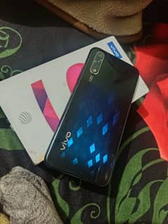 vivo