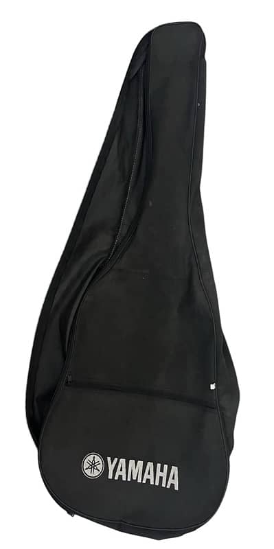 Beginner Acoustic Guitar with bag and pick 2