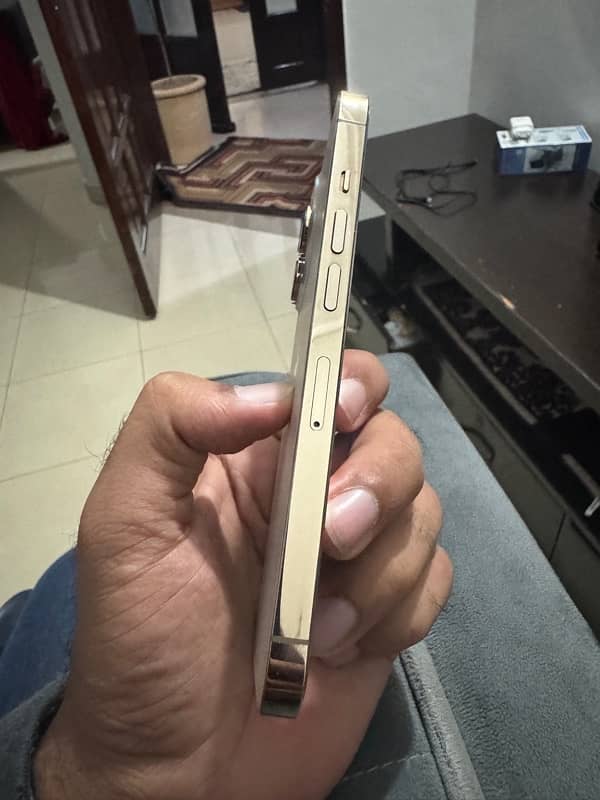 iphone 13 pro ( non pta ) 3