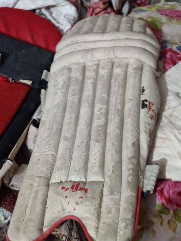 English willow bat with practice pad 3