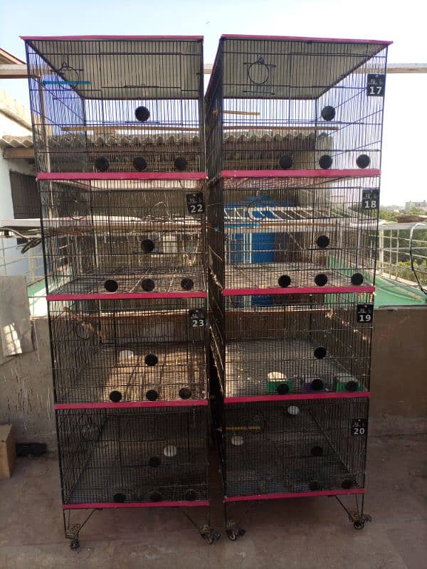 Cages For Parrot 0