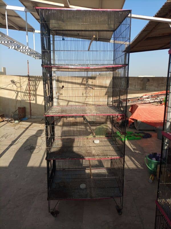 Cages For Parrot 1