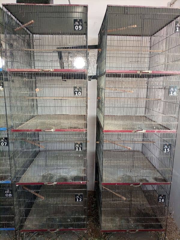 Cages For Parrot 2