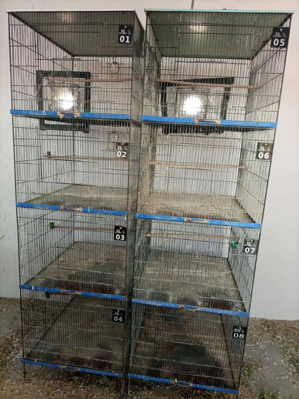 Cages For Parrot 3