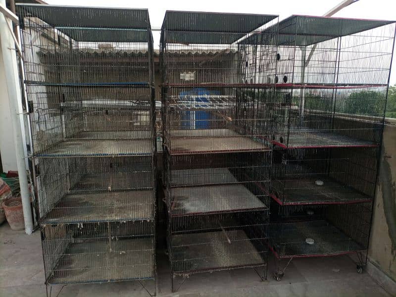 Cages For Parrot 4