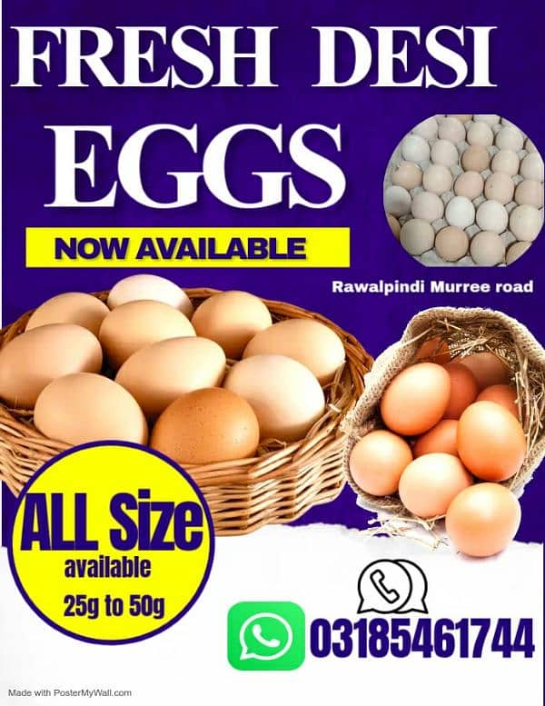 Desi eggs | Golden misri eggs on whole sale price 360 1