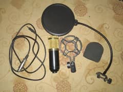 professional condensor microphone (studio mic)