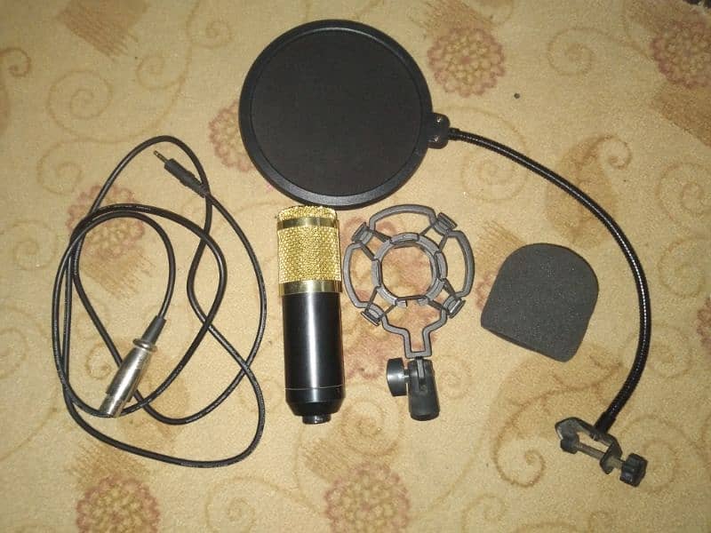 professional condensor microphone (studio mic) 0