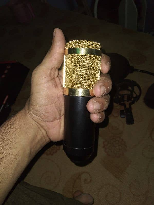 professional condensor microphone (studio mic) 1