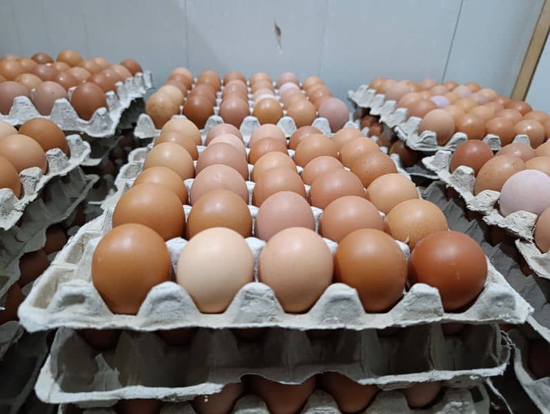 Farm fresh pure organic Eggs 0