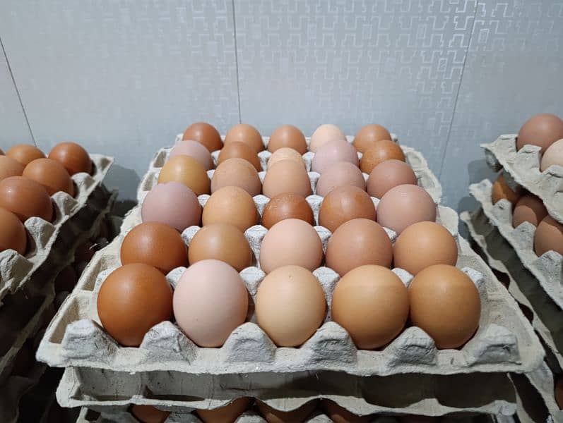 Farm fresh pure organic Eggs 1