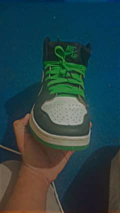 NIKE AIR JORDAN DARK GREEN [RARE COLOR]