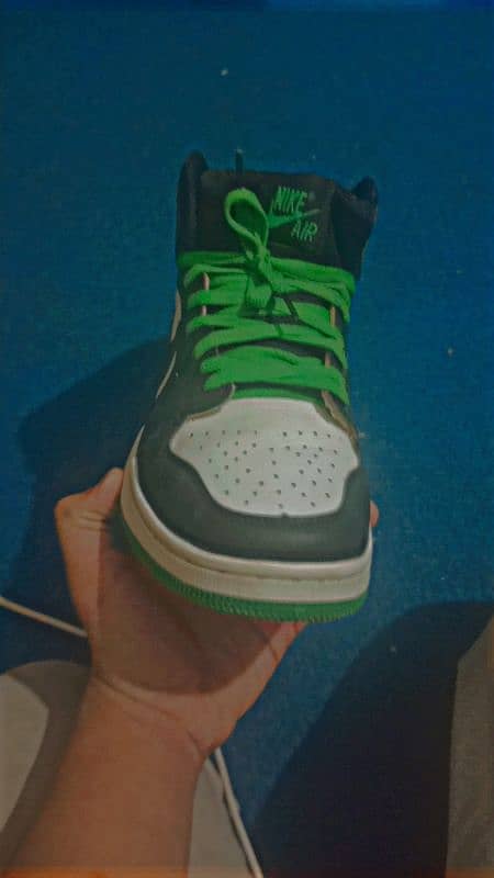 NIKE AIR JORDAN DARK GREEN [RARE COLOR] 0