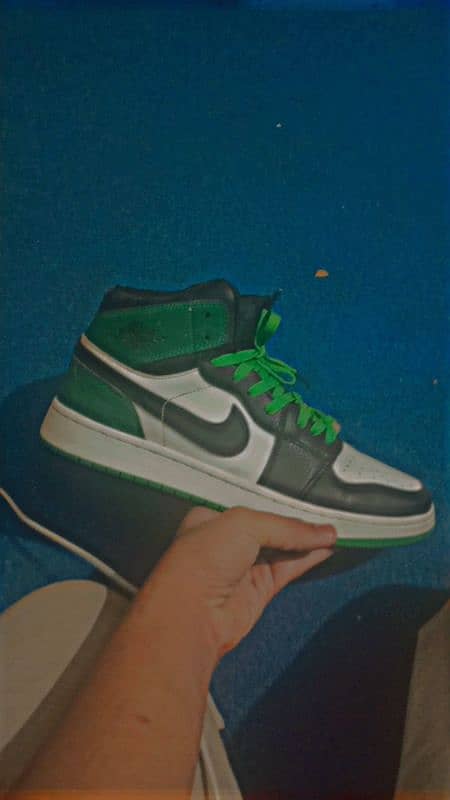 NIKE AIR JORDAN DARK GREEN [RARE COLOR] 2