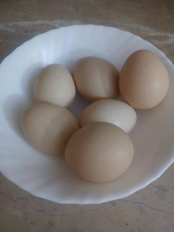 Organic Desi Eggs For Sale(12 eggs) 0