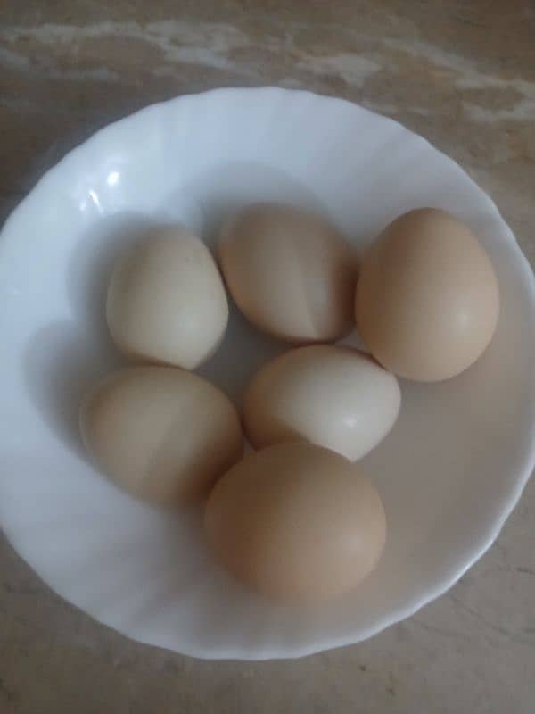 Organic Desi Eggs For Sale(12 eggs) 1